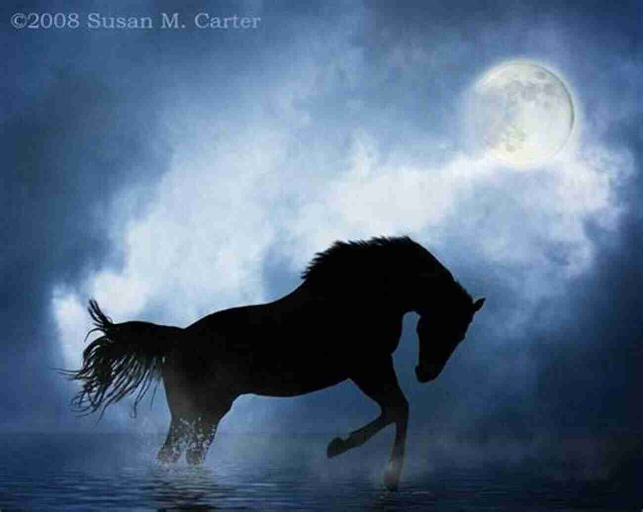 14 Majestic Horses Galloping Under The Moonlight Moondance: 14 (Horses Of Half Moon Ranch)