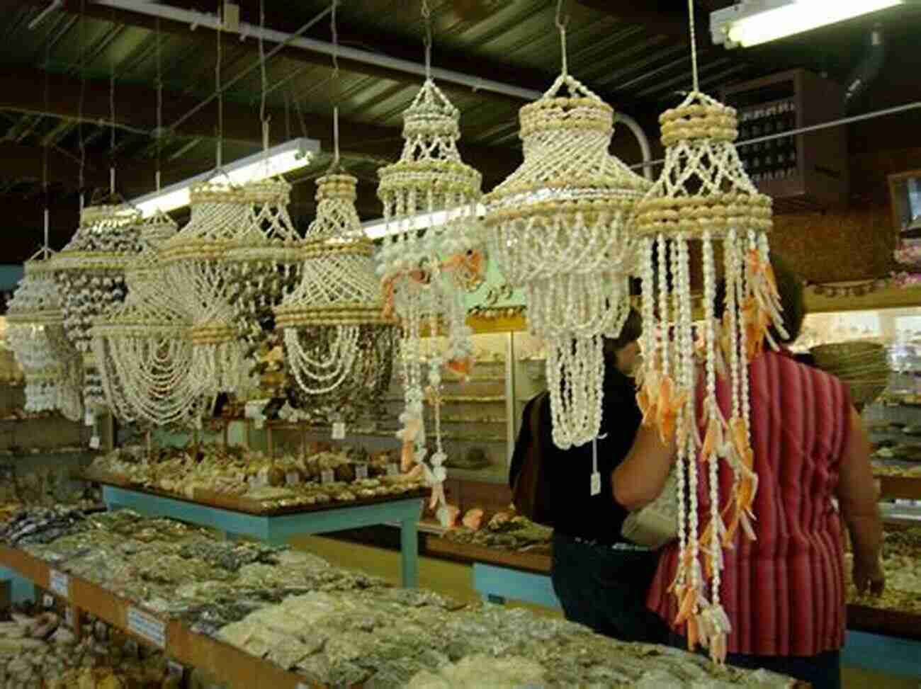 A Magnificent Display Of Seashells At The Shell Shop Pearl Beach The Shell Shop (Pearl Beach 2)