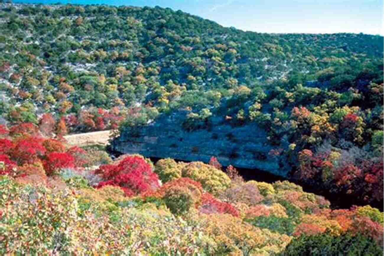 A Dog Posing In Front Of Colorful Maple Trees At Lost Maples State Natural Area Best Hikes With Dogs Texas Hill Country And Coast