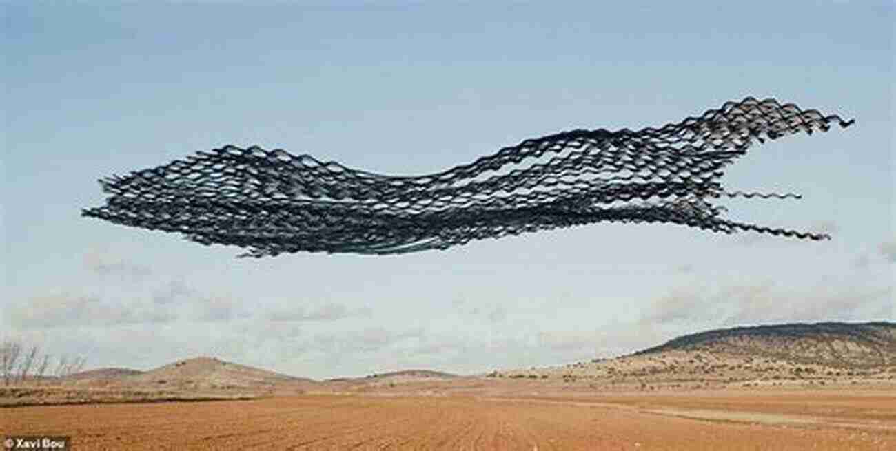 A Group Of Birds In Flight, Forming A Mesmerizing Pattern In The Sky Bird Migration: A New Understanding