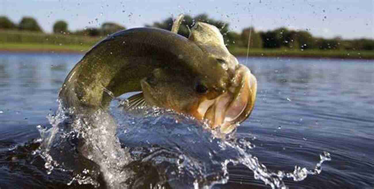 A Large Bass Jumping Out Of The Water Bass Fishing Tips Boxed Set: All 5 Of My On How To Catch Bass