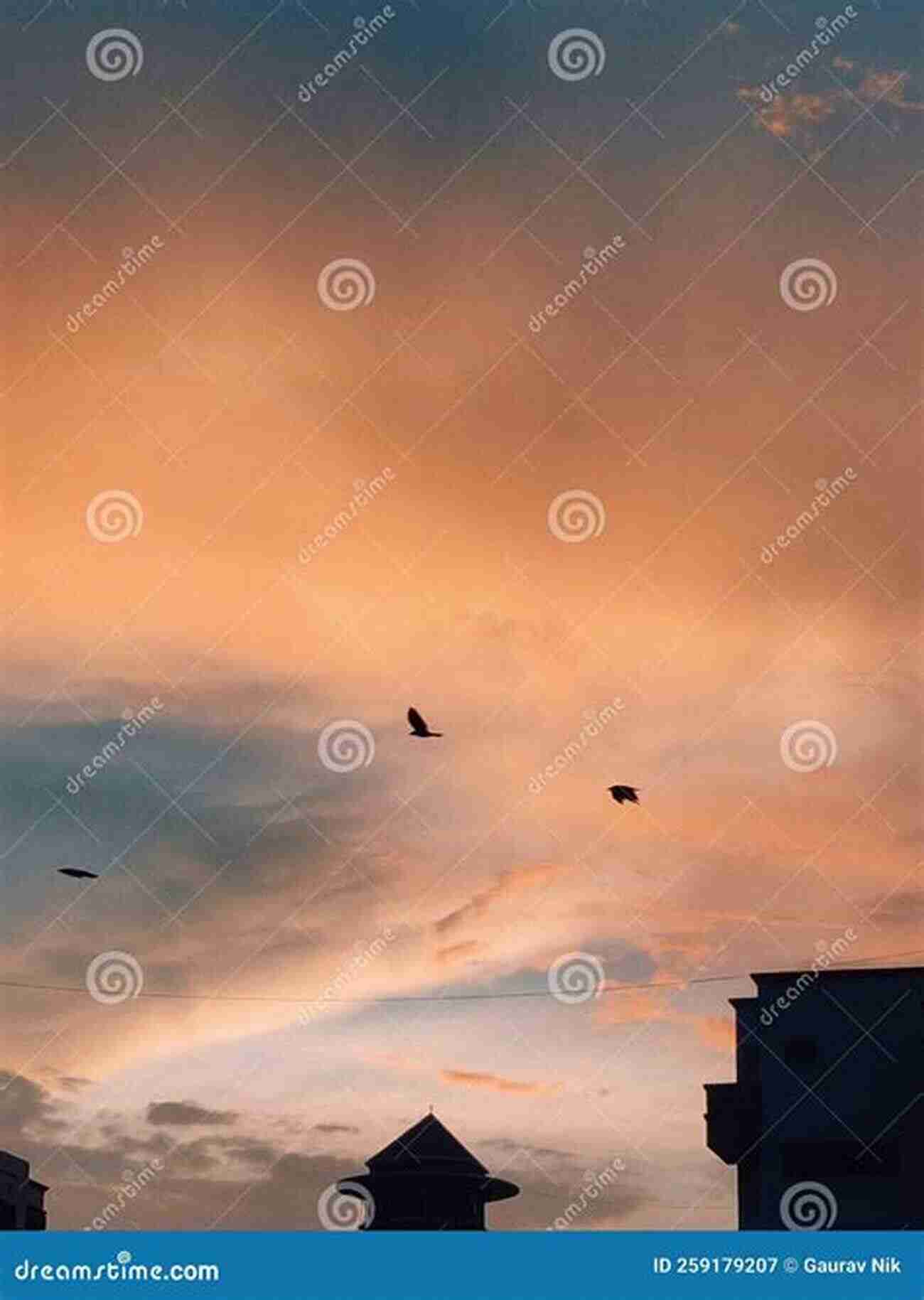 A Magnificent View Of A Flock Of Birds Flying Against The Vibrant Hues Of A Sunset Sky Bird Migration: A New Understanding