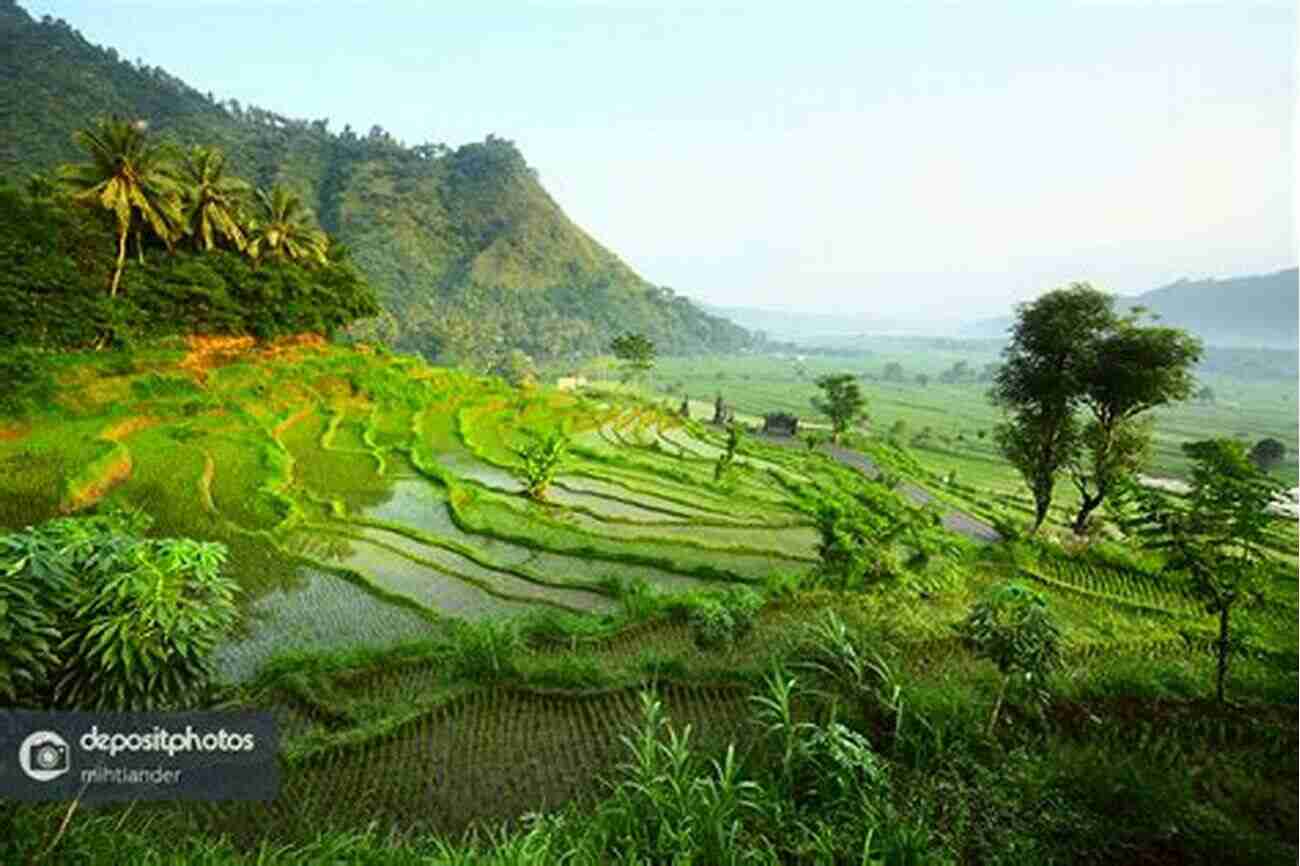 A Serene Landscape Of Rice Fields In Bali Under A Different Sky Joshua Newnham