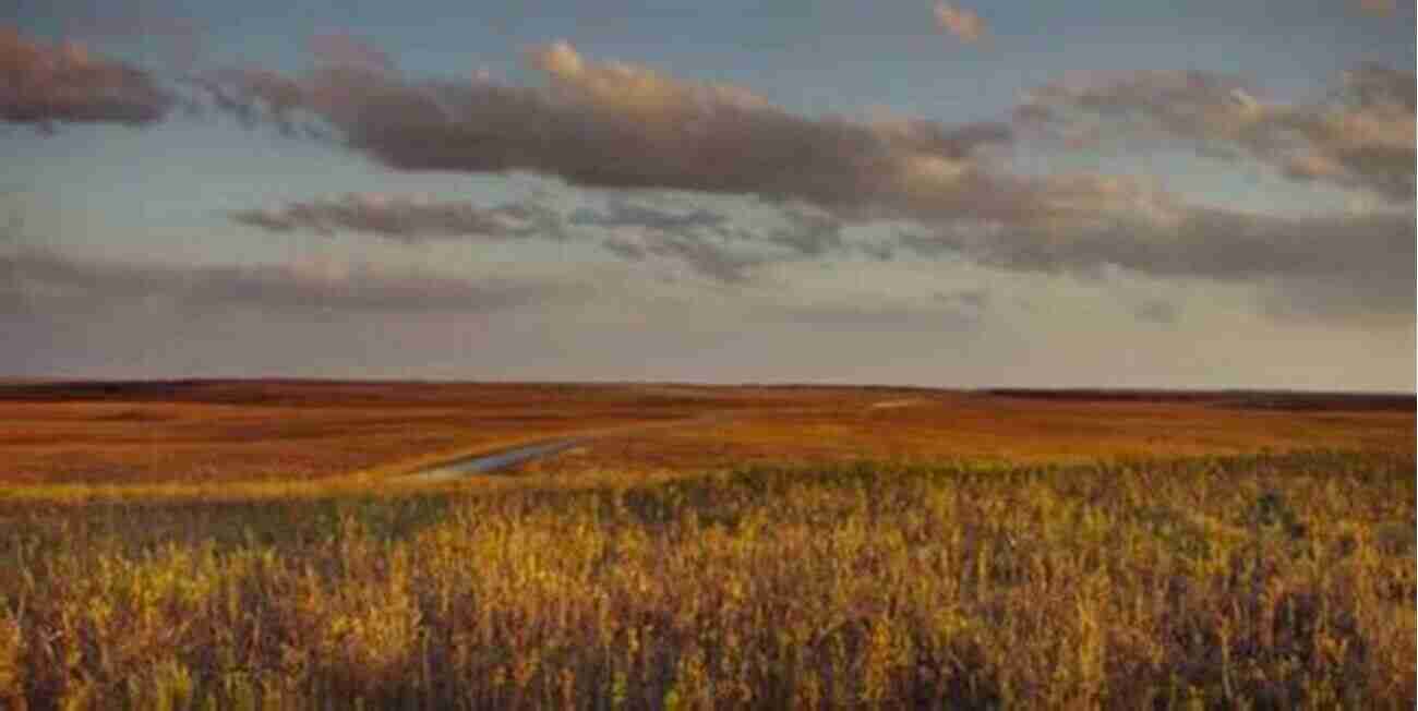 A Serene Spot To Unwind On The Oklahoma Prairies A Tour On The Oklahoma Prairies In The 21st Century