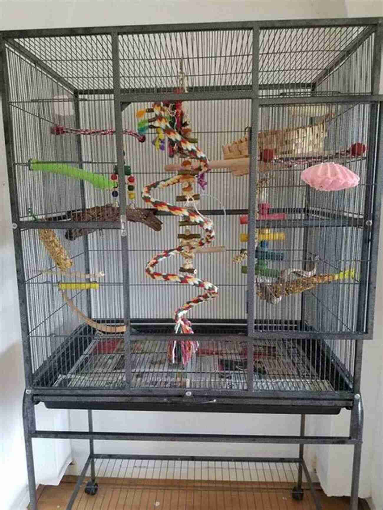 A Spacious And Well Equipped Budgie Cage With Toys And Perches How To Look After Your Budgie: Quick Guide