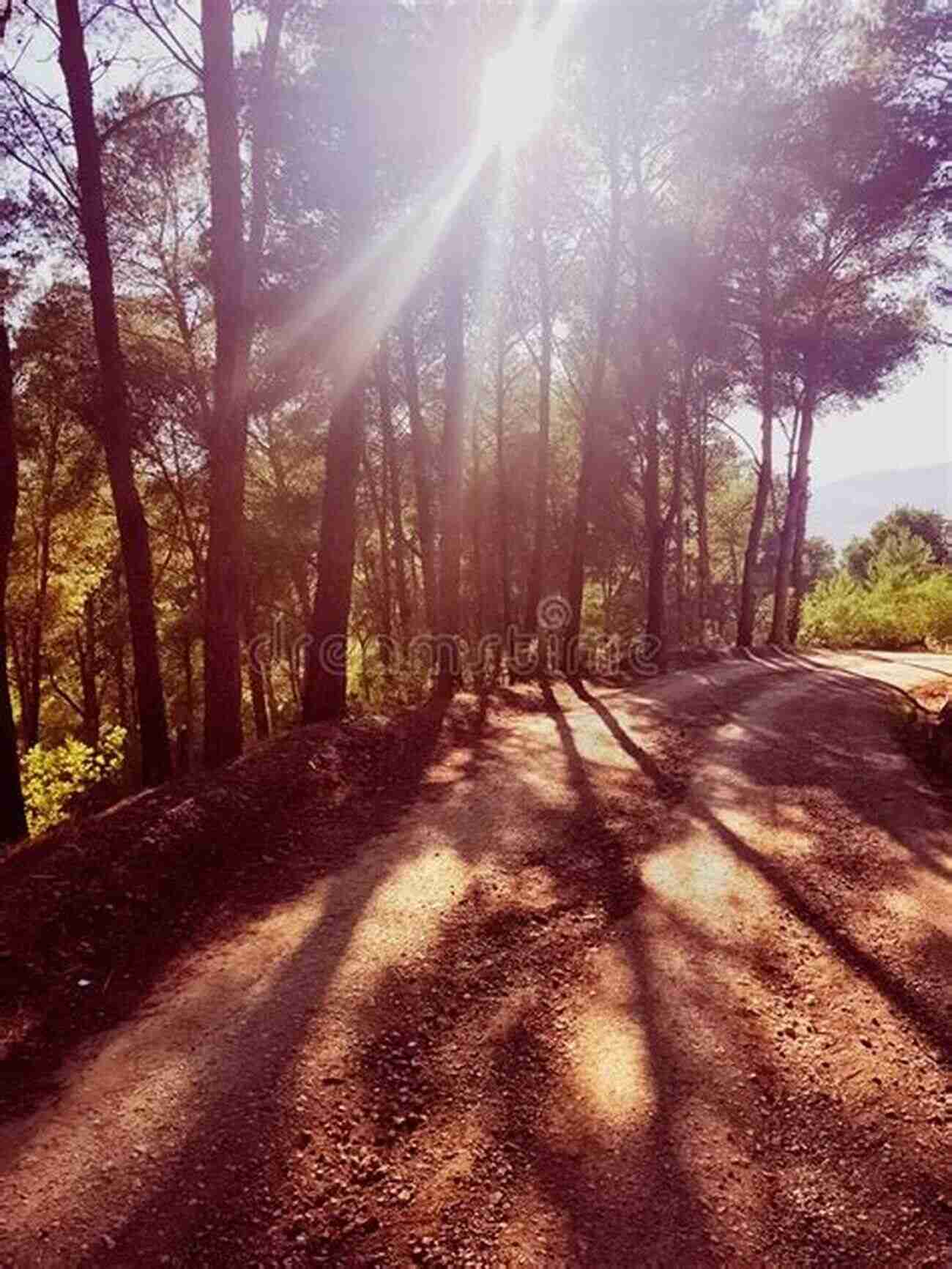 A Winding Road Through Majestic Mountains Moon Southern California Road Trips: Drives Along The Beaches Mountains And Deserts With The Best Stops Along The Way (Travel Guide)