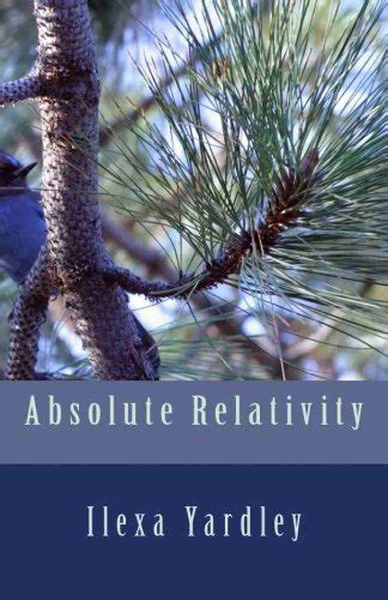 Absolute Relativity Ilexa Yardley