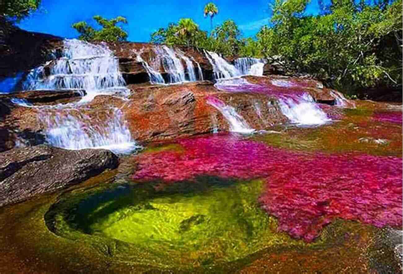 Admiring The Colorful Beauty Of Caño Cristales Travels Through The Interior Provinces Of Colombia