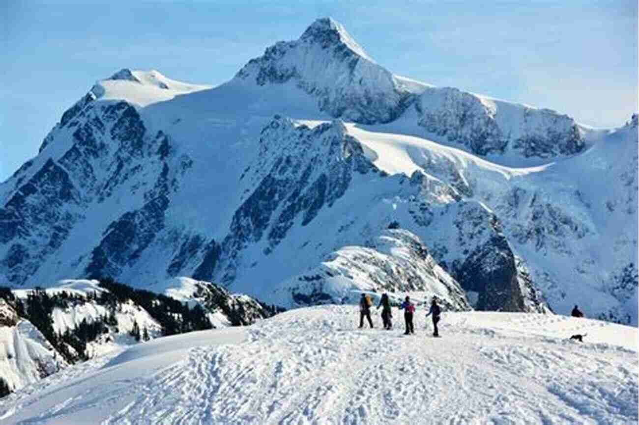 Adventurers Snowshoeing Through The Picturesque Winter Wilderness Of Juniper Falls Breaking The Ice (Juniper Falls 2)