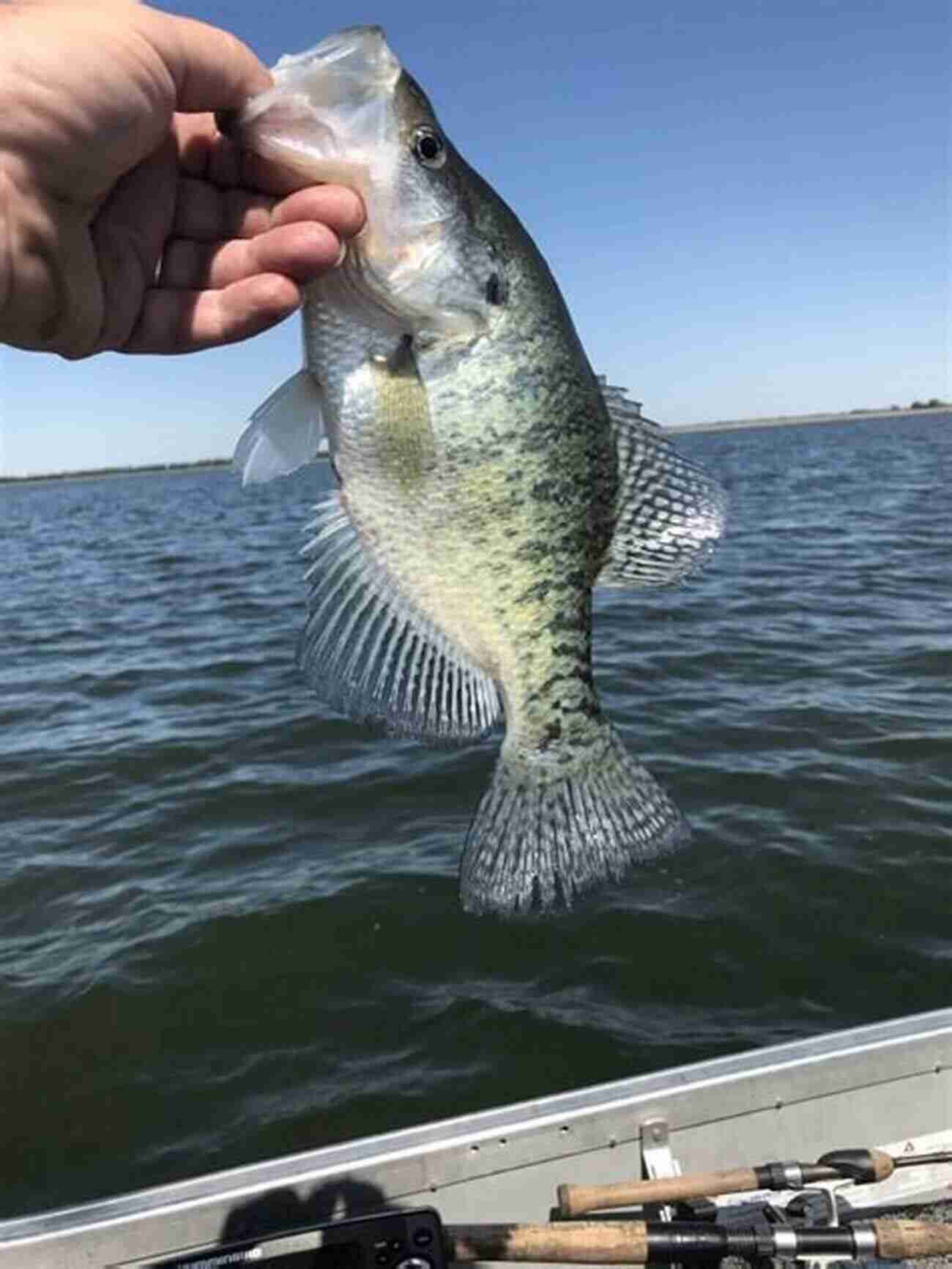 Aerial View Of A Serene Fishing Spot In Grundy County Illinois Grundy County Illinois Fishing Floating Guide Book: Complete Fishing And Floating Information For Grundy County Illinois (Illinois Fishing Floating Guide Books)