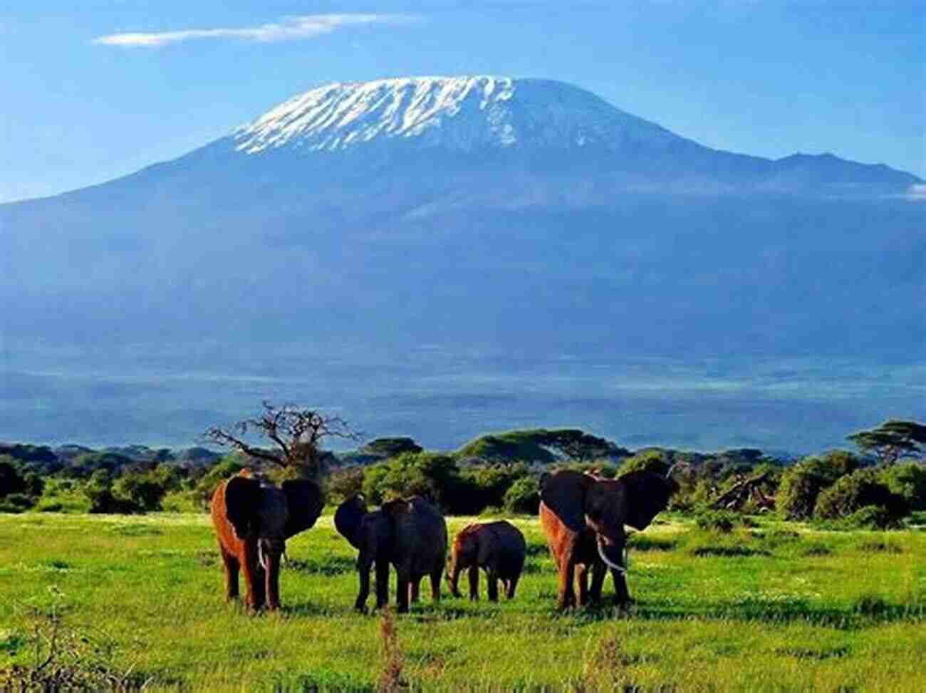 Amboseli National Park A Scenic View Of Mount Kilimanjaro Best Of Kenya (iC Pocket Travel Guide)