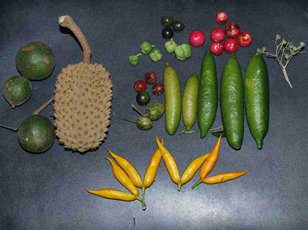 Astonishing Variety Of Luscious Australian Rainforest Fruits On Display Australian Rainforest Fruits: A Field Guide