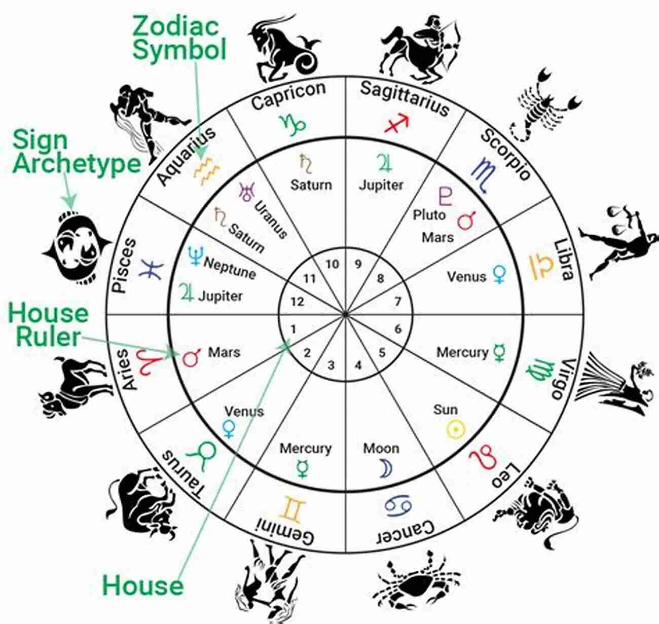 Astrologer Reading A Birth Chart During The Year Of The Stars A Year Of The Stars: A Month By Month Journey Of Skywatching