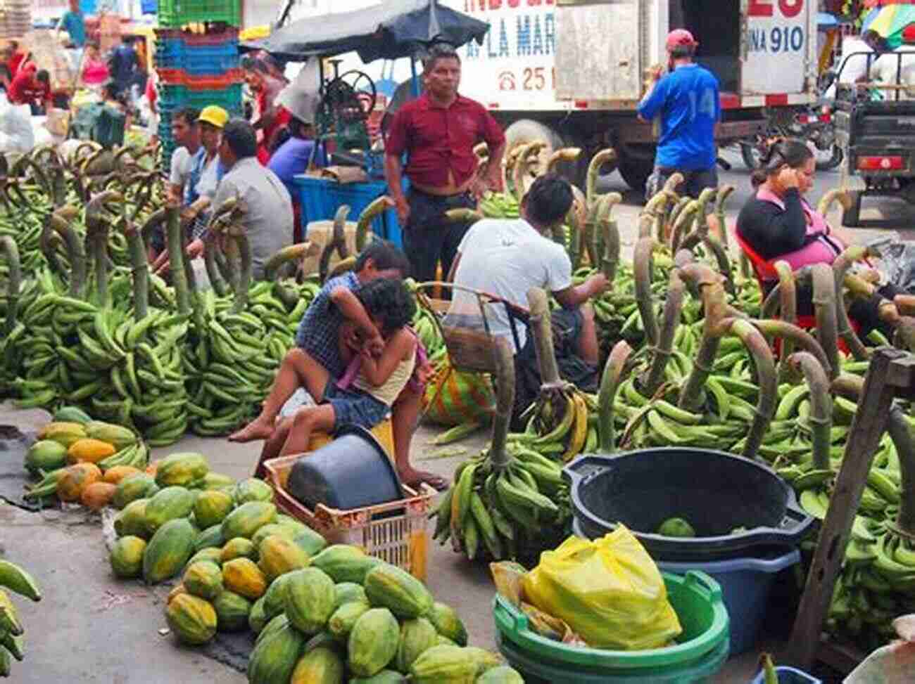 Banana Harvesting And Marketing BANANA FARMING: How To Start A Banana Farm