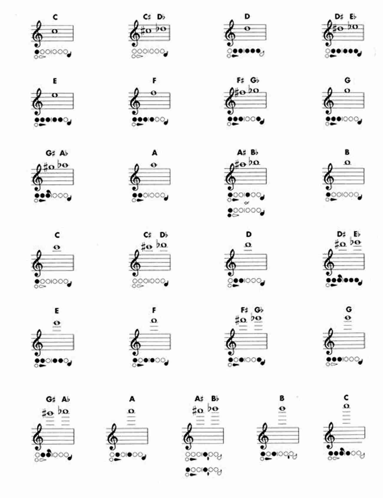 Basic Flute Fingering Chart Card Soprano Recorder Fingering Charts For Baroque And German Style Recorder: 18 Colorful Basic Fingering Chart Cards For Beginners (Fingering Charts For Brass Woodwind Instruments 6)