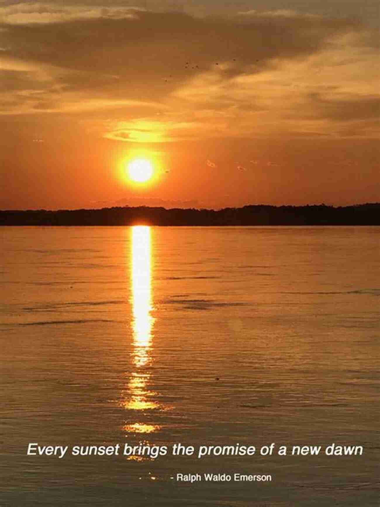 Beautiful Beach Sunset The Promise Of Endless Summer The Promise Of Endless Summer: Cricket Lives From The Daily Telegraph (Telegraph Books)