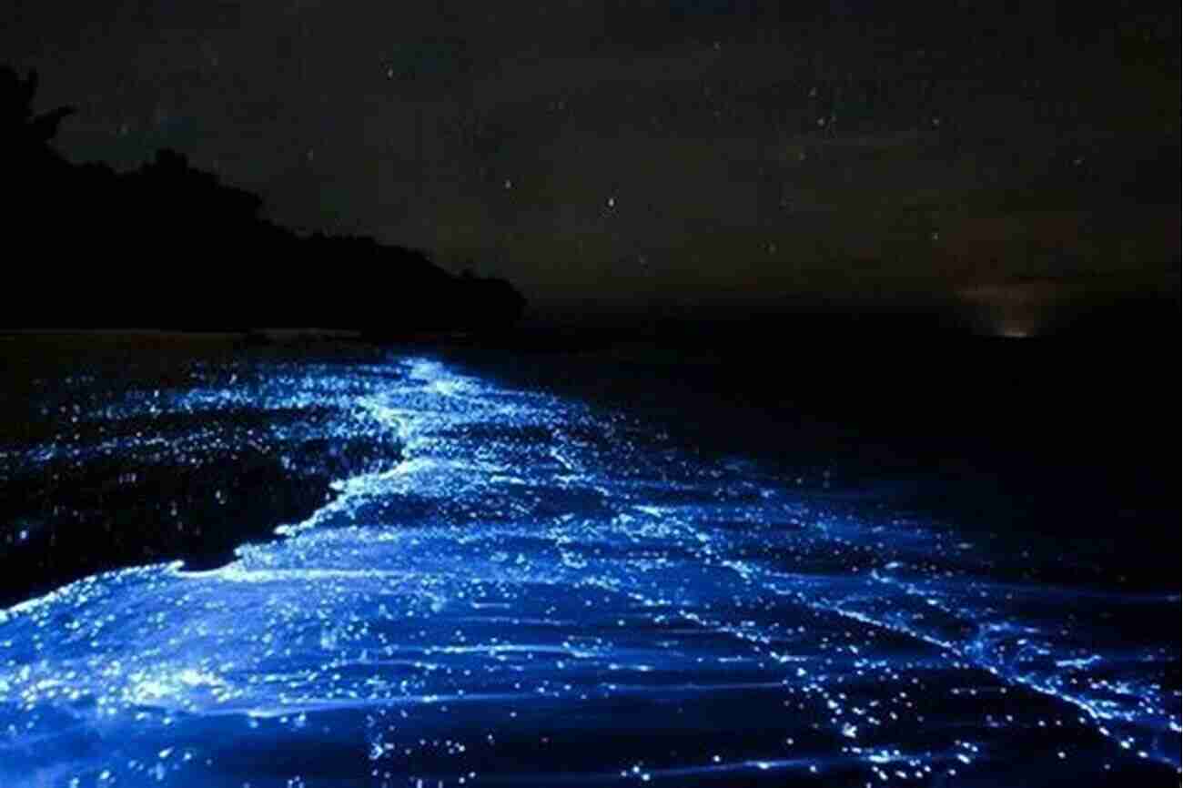 Bioluminescent Waters, Glowing Waves At Night Cuddle Up We Re Dreaming We Re Off To Night Flights