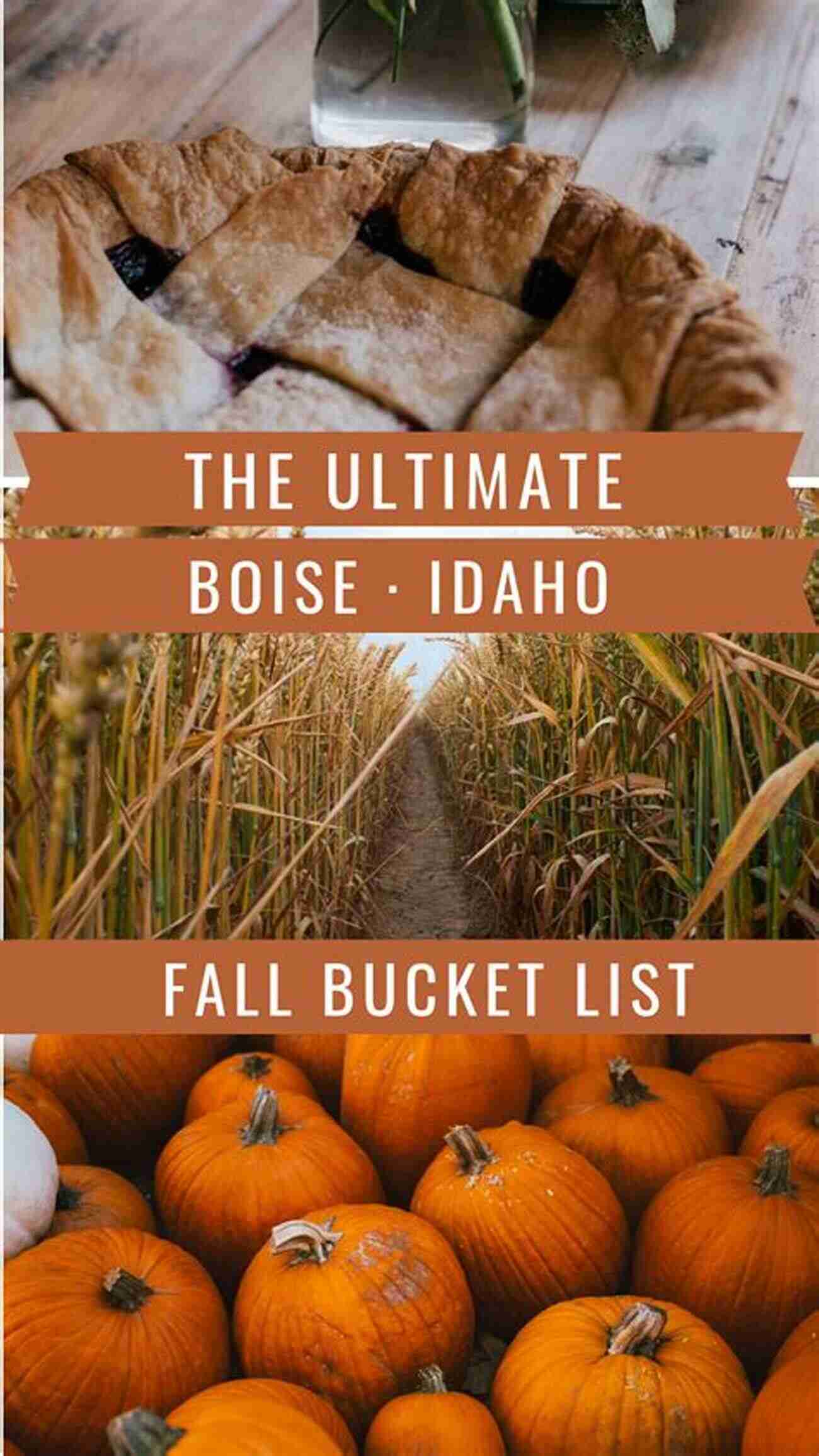 Boise Foothills The Boise Bucket List: 101 Ways To Explore The City Of Trees