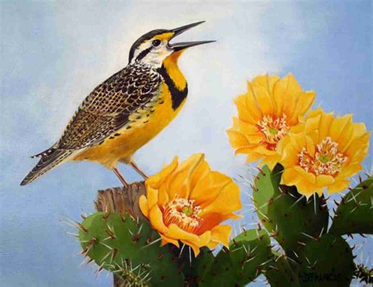 Captivated By The Enchanting Songs Of The Meadowlarks Birds Of A Feather: Tales Of A Wild Bird Haven