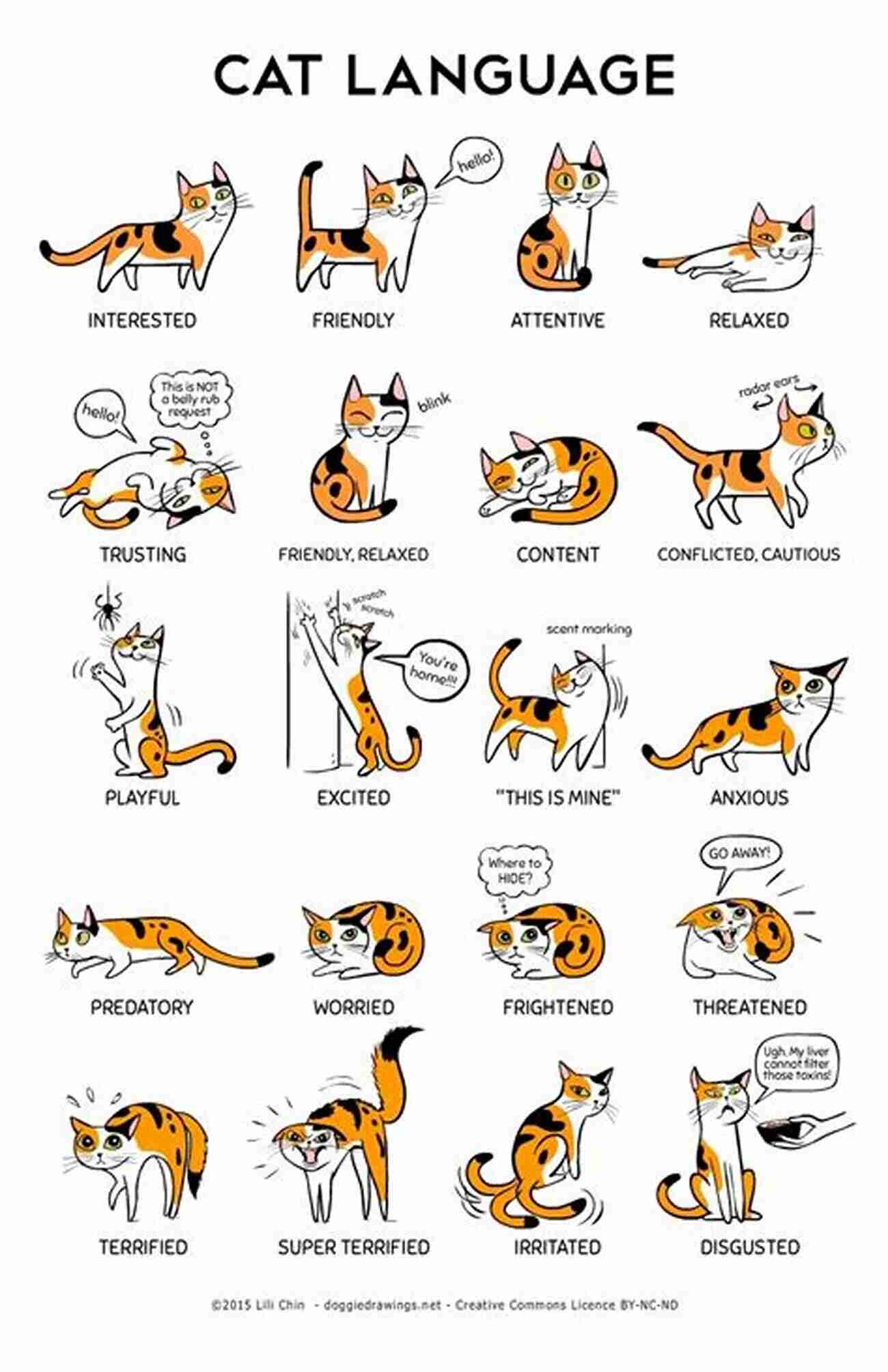 Cat Communicating Through Body Language CAT BODY LANGUAGE AND APPROPRIATE RESPONSES : A GUIDE TO UNDERSTANDING CAT BEHAVIOR AND RELATING WITH YOUR CAT