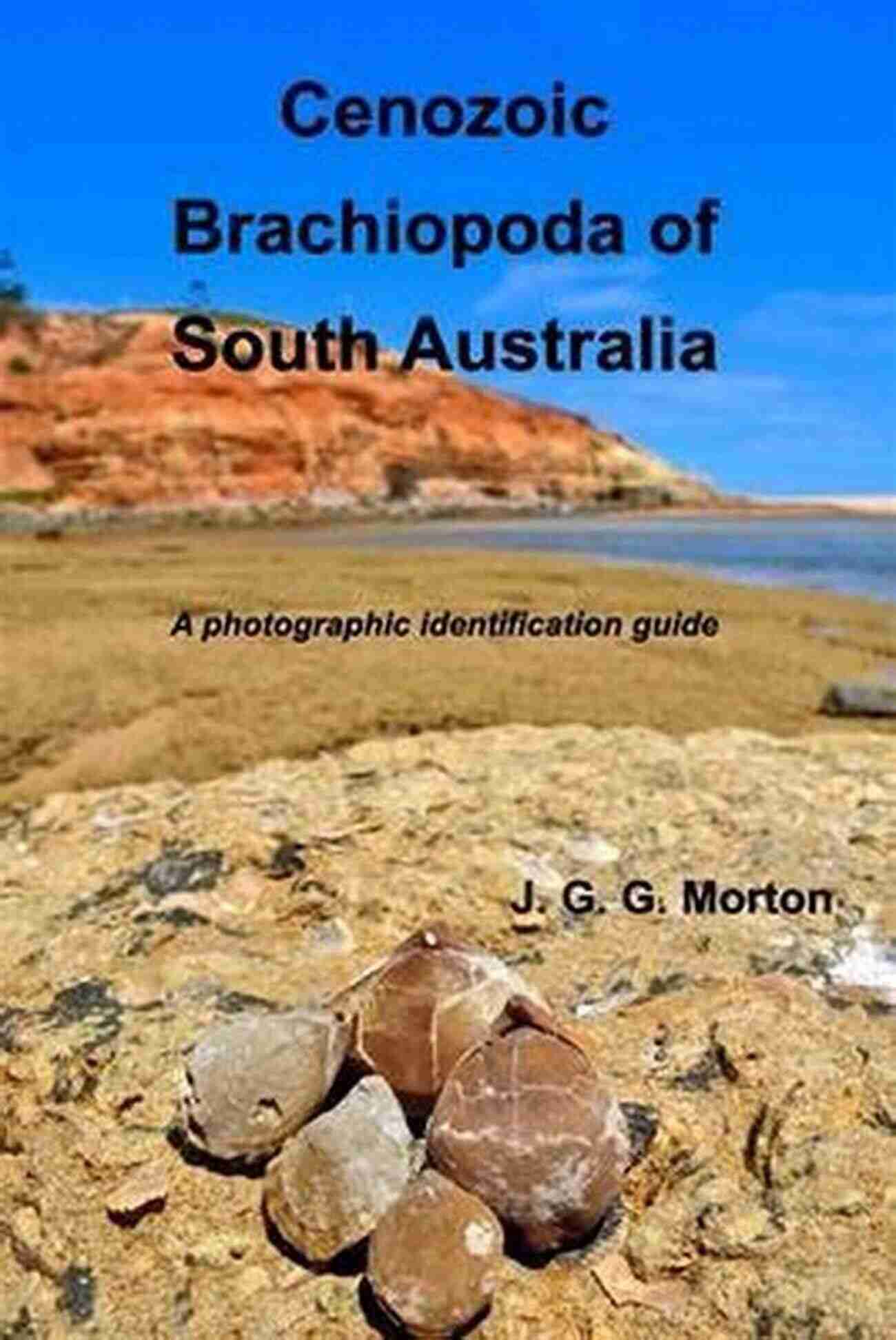 Cenozoic Brachiopoda Of South Australia Exploring The Fossil Treasures Beneath The Ocean Floor Cenozoic Brachiopoda Of South Australia: A Photographic Identification Guide