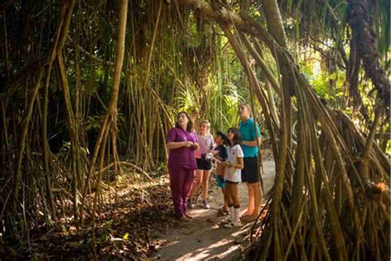 Children Exploring Flora And Fauna During A Nature Walk KS1 Discover Learn: Science Study Activity Year 2