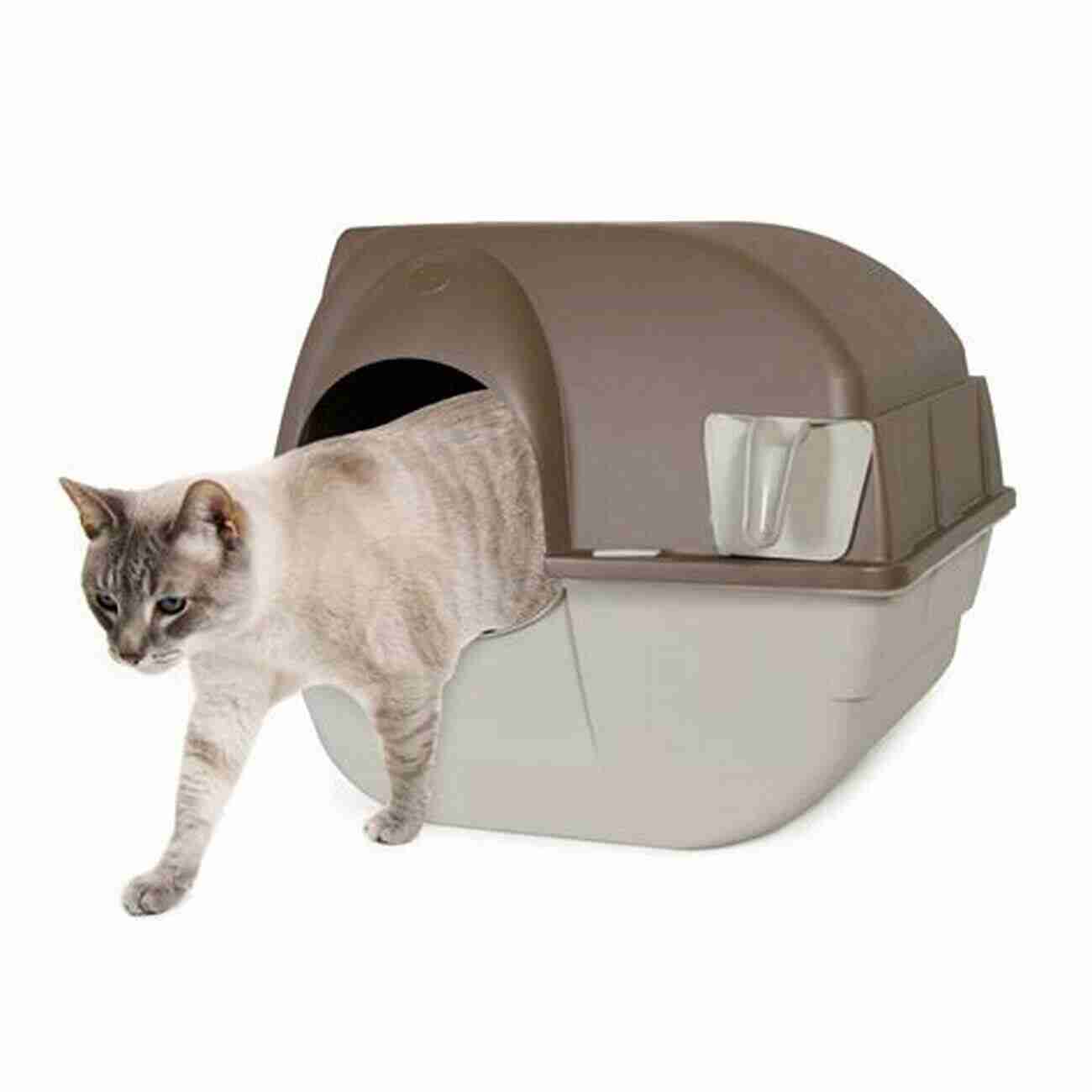 Clean Litter Box 50 Shades Of Happy Cats: EASY CATS