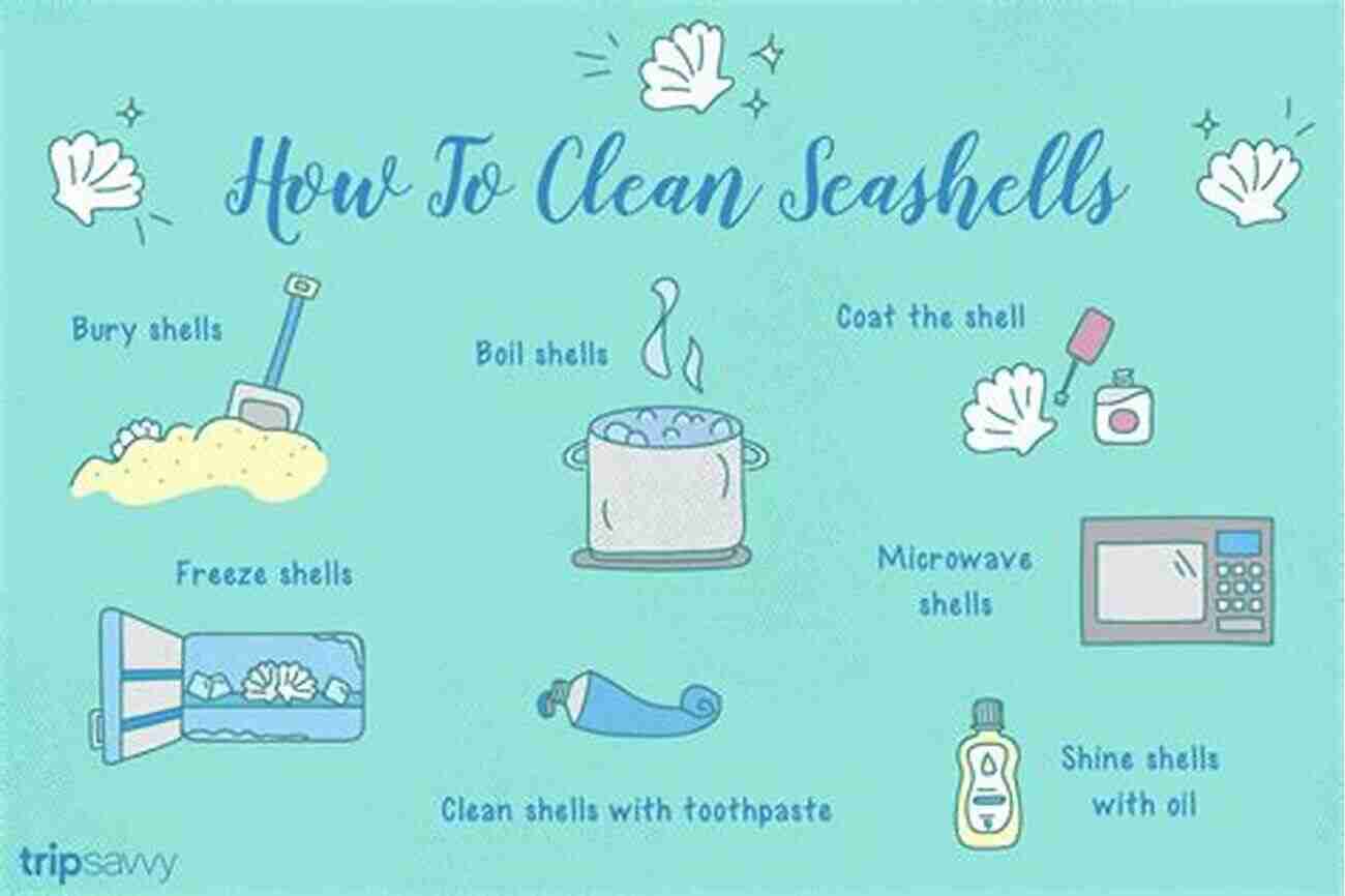 Cleaning And Preserving Seashells In Search Of Junonia: A Simple Guide To Shelling