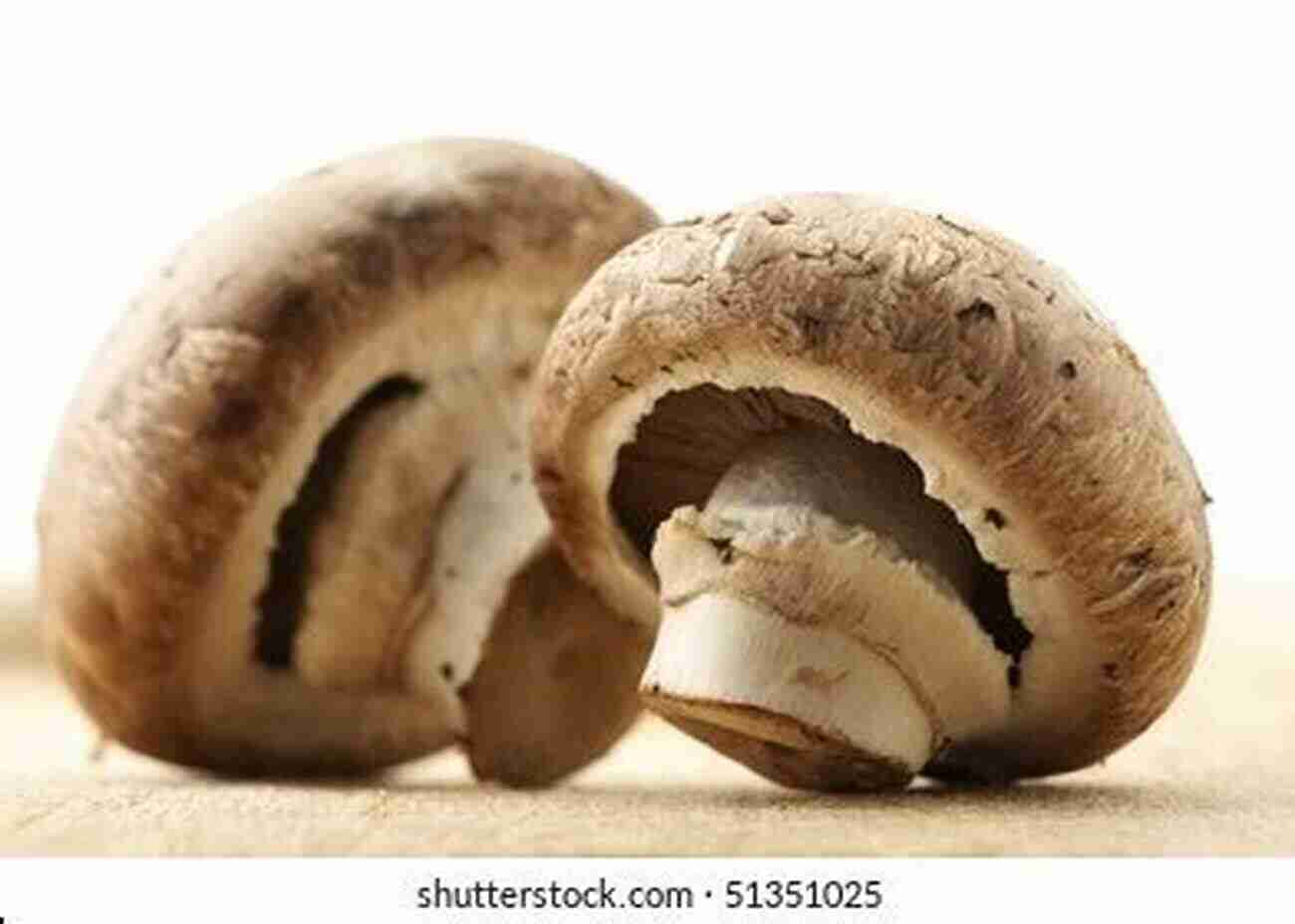 Close Up Of Mushrooms Agaricus Bisporus Lisa Broderick Mushrooms: Agaricus Bisporus Lisa Broderick