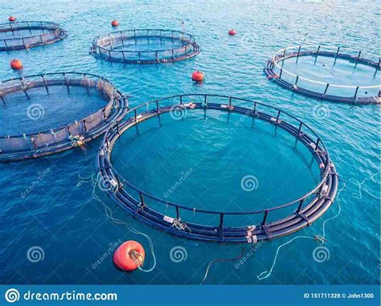 Close Up View Of Fish In An Aquaculture Farm Selection And Breeding Programs In Aquaculture