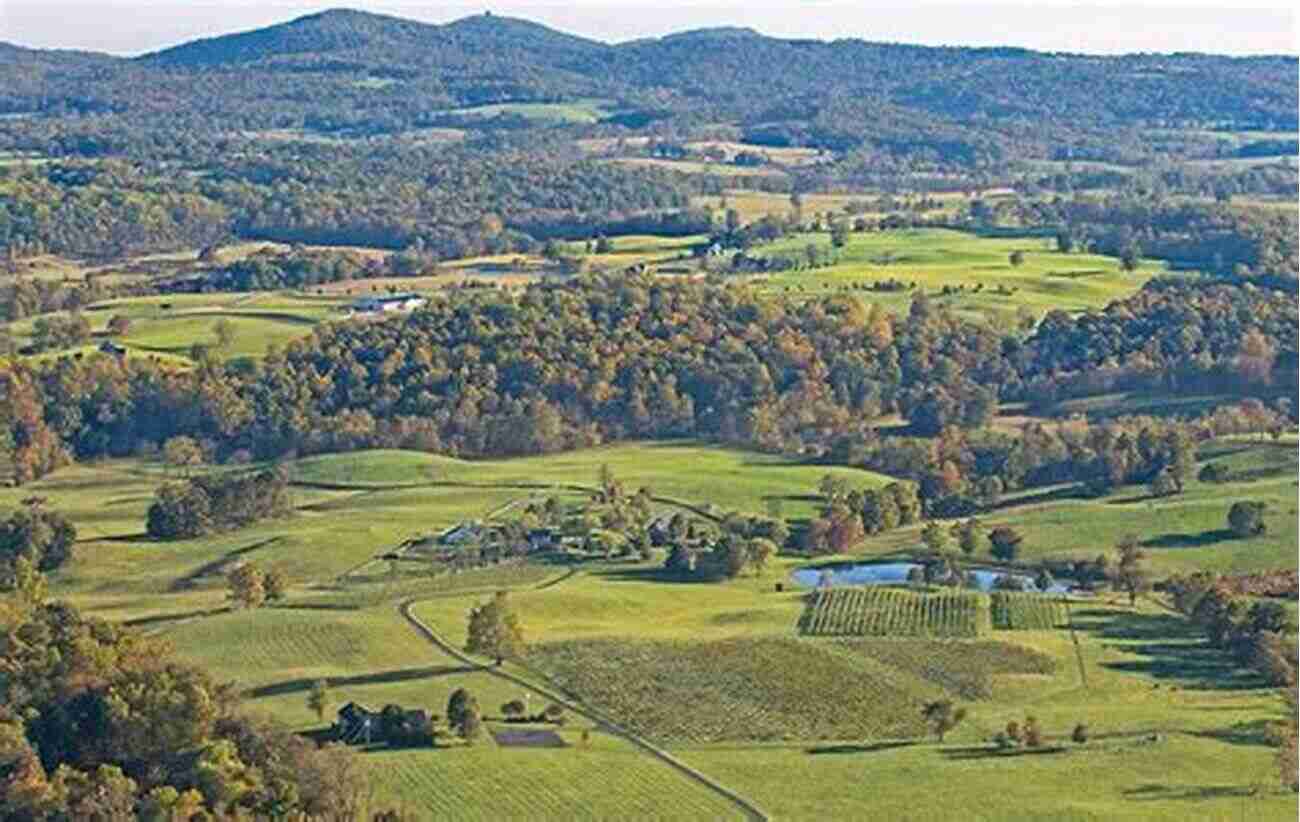 Connect With Nature In Middleburg Virginia The Middleburg Mystique: A Peek Inside The Gates Of Middleburg Virginia