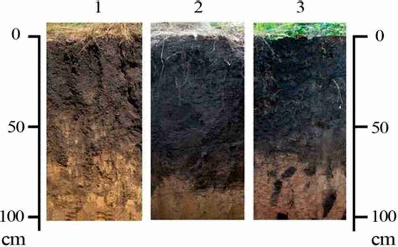 Conservation Tillage On Chernozem Soils The Black Earth: Ecological Principles For Sustainable Agriculture On Chernozem Soils (International Year Of Planet Earth 10)