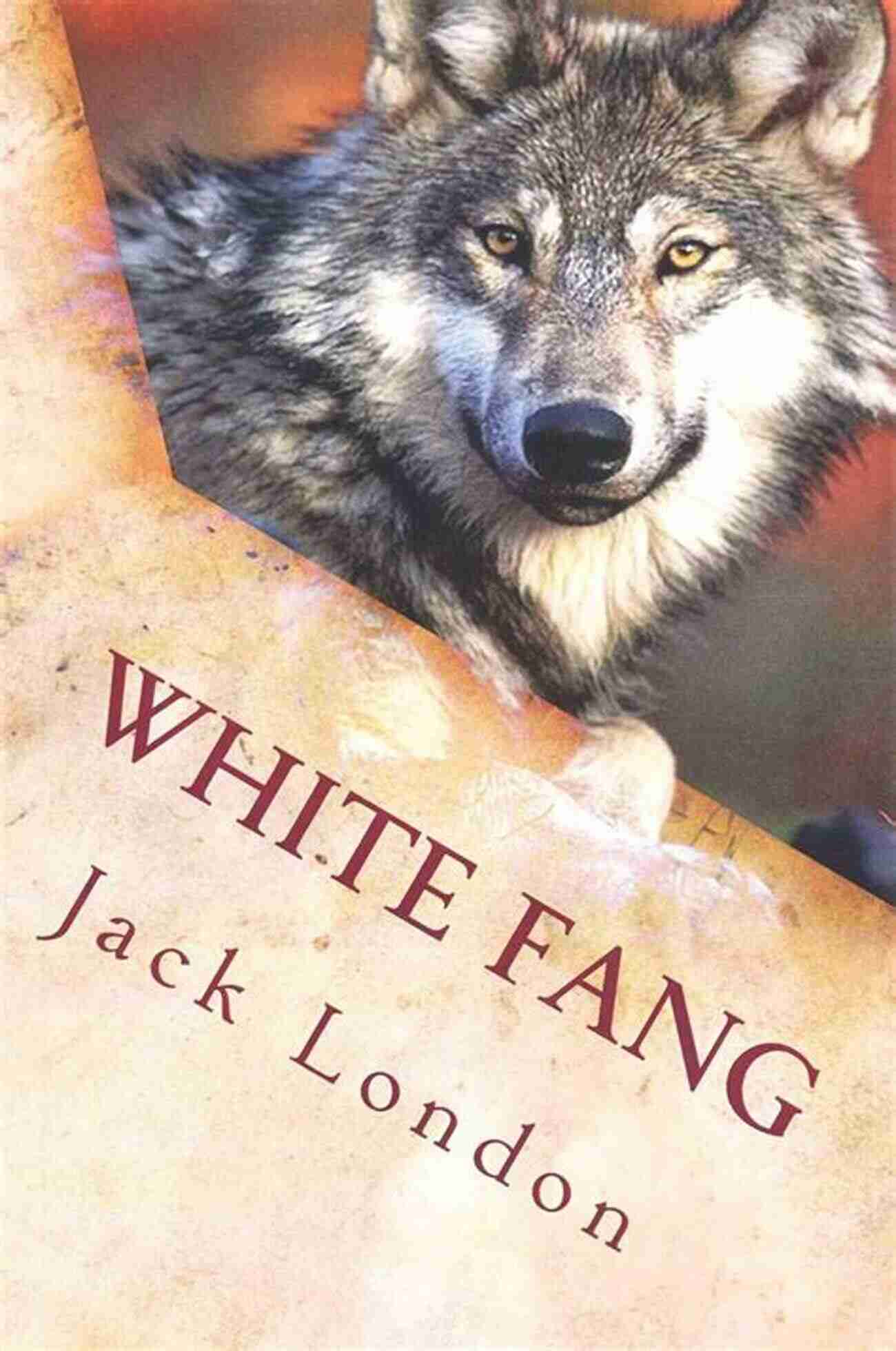 Cover Of White Fang By Jack London The Call Of The Wild White Fang To Build A Fire (Modern Library Classics)