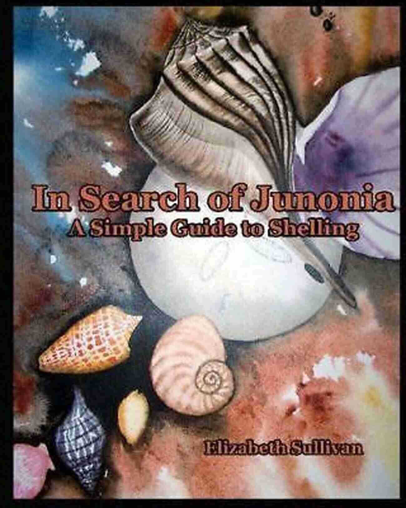 Creative Seashell Crafts In Search Of Junonia: A Simple Guide To Shelling