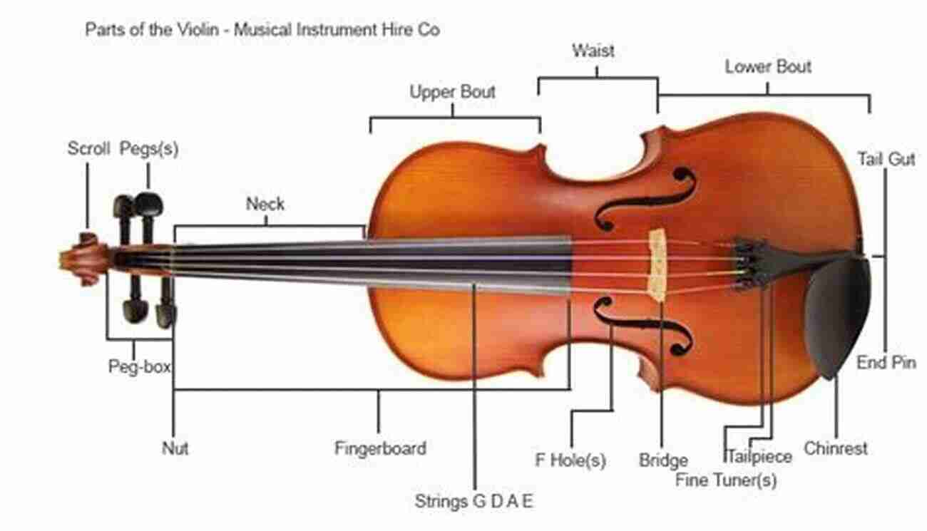 Detailed Image Of The Parts Of A Violin, Including The Scroll, Neck, Body, And Strings How To Play The Violin: A Beginner S Guide To Learning The Violin Basics Reading Music And Playing Songs