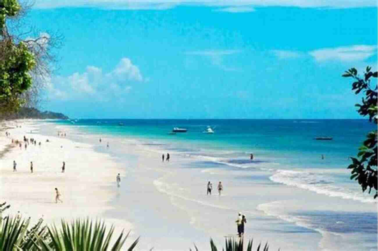 Diani And Watamu Beaches A Tropical Paradise Best Of Kenya (iC Pocket Travel Guide)