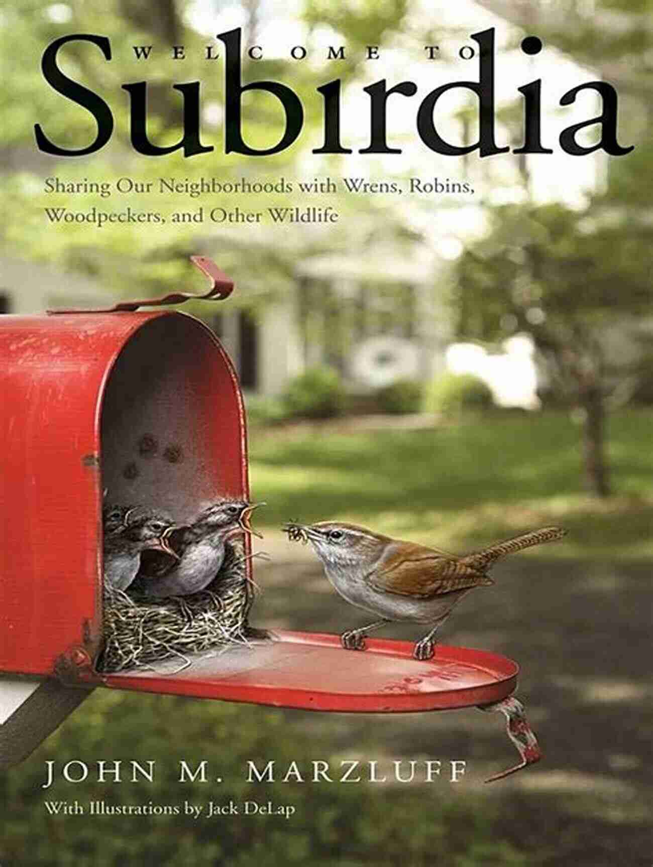 Discover The Fascinating Urban Birdlife In John Marzluff's Subirdia Welcome To Subirdia John M Marzluff