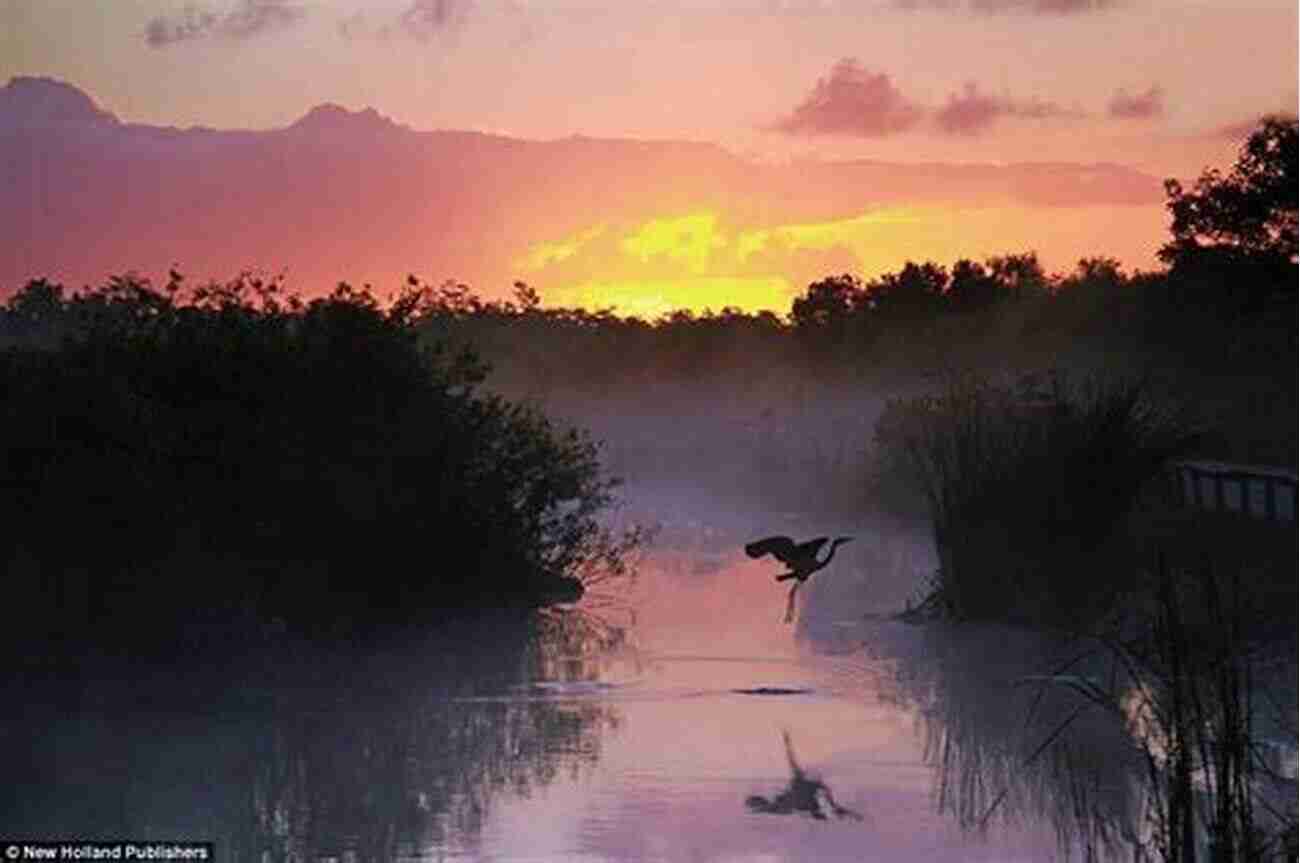 Discover The Breathtaking Beauty Of The Everglades And Key West Combined TERRANCE TALKS TRAVEL: A Pocket Guide To The Florida Keys: (Including The Everglades Key West)