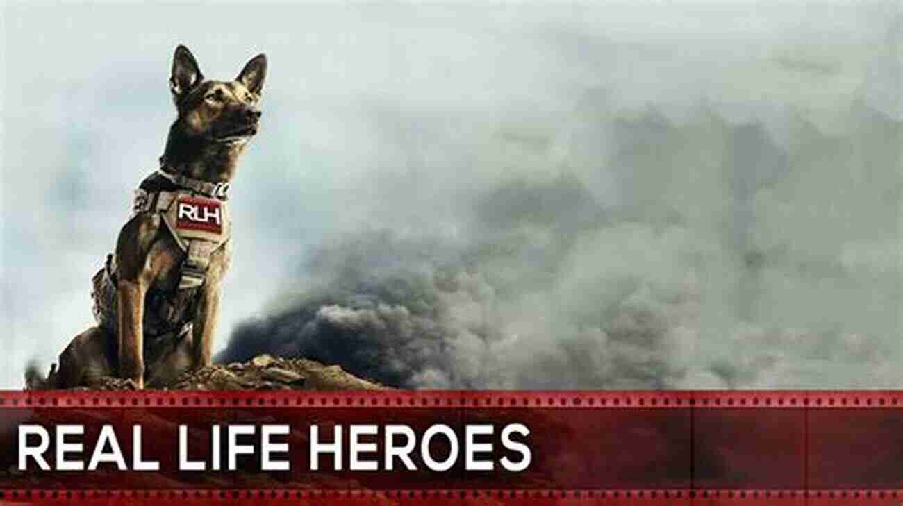 Dog 281 Save Five: The Canine Hero Saving Lives Dog 281 (Save Five 1)