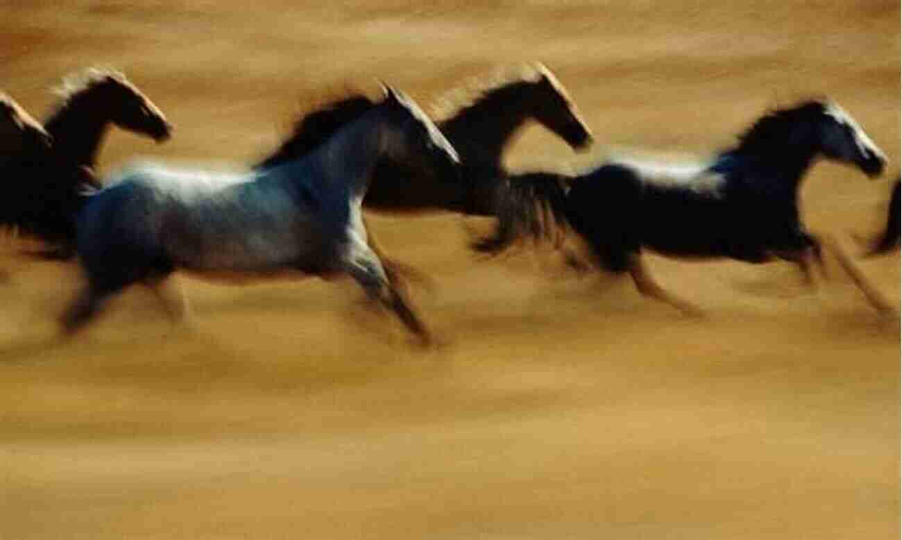 Ecstatic Horse Galloping Through Picturesque English Countryside Clarissa S England: A Gamely Gallop Through The English Counties