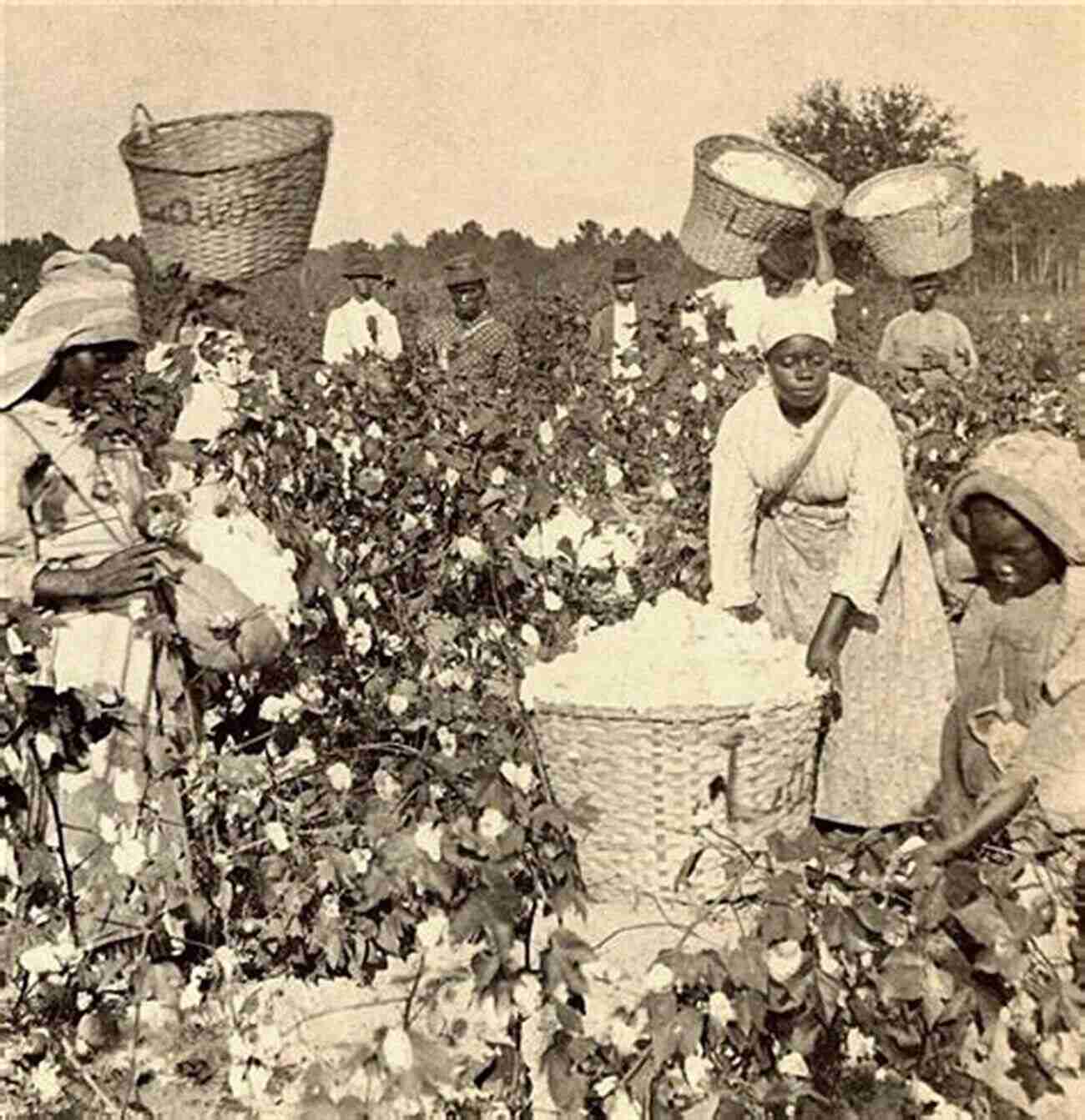 Enslaved African Working In The Fields Slavery And African Ethnicities In The Americas: Restoring The Links