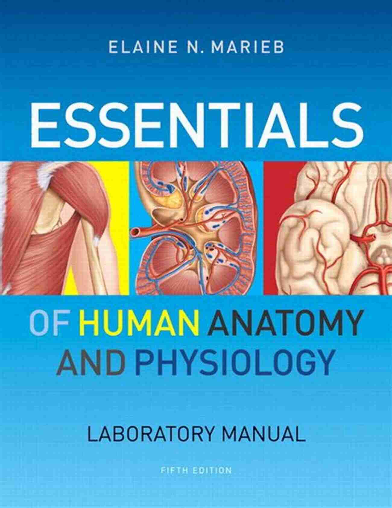 Essentials Of Human Anatomy Physiology Laboratory Manual Downloads Essentials Of Human Anatomy Physiology Laboratory Manual (2 Downloads)