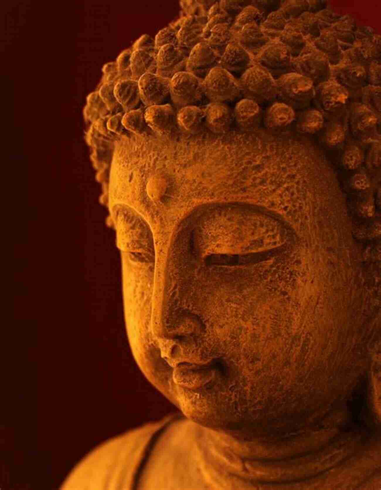 Every Buddha Same Price Symbolic Buddha Statue Surrounded By Serenity And Wisdom Every Buddha Same Price: A Journal Of Monastic Misadventures At Kim Son Monastery And Plum Village France