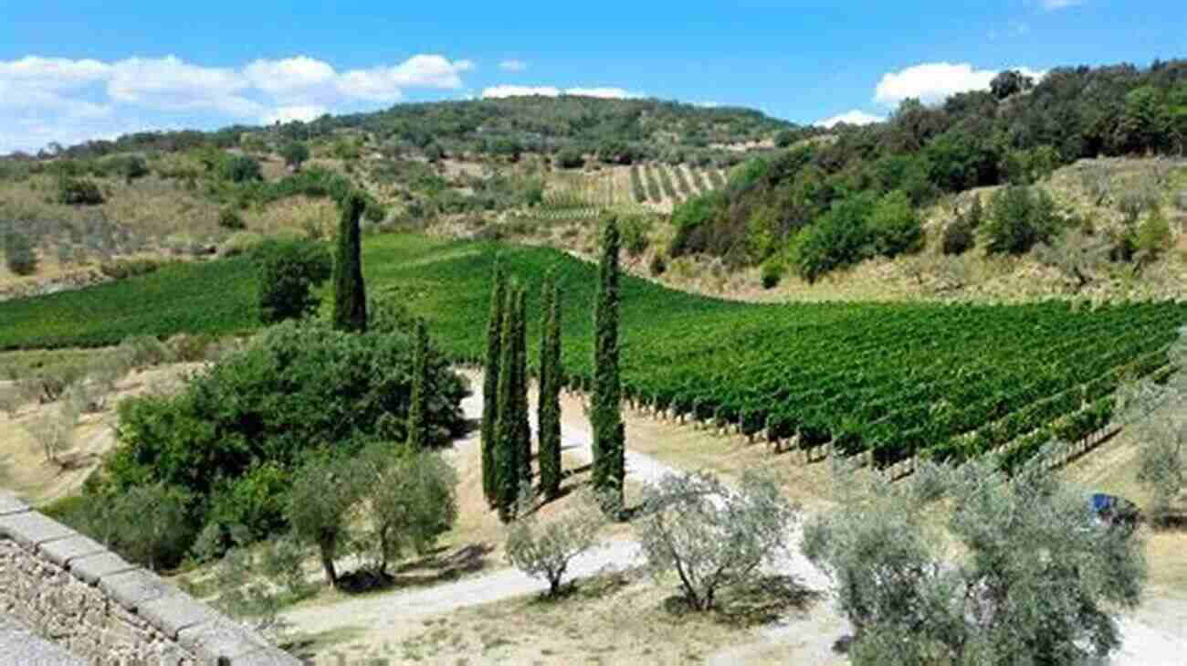 Experience The Beauty Of Montalcino Vineyards Under A Siena Sun (Escape To Tuscany 1)