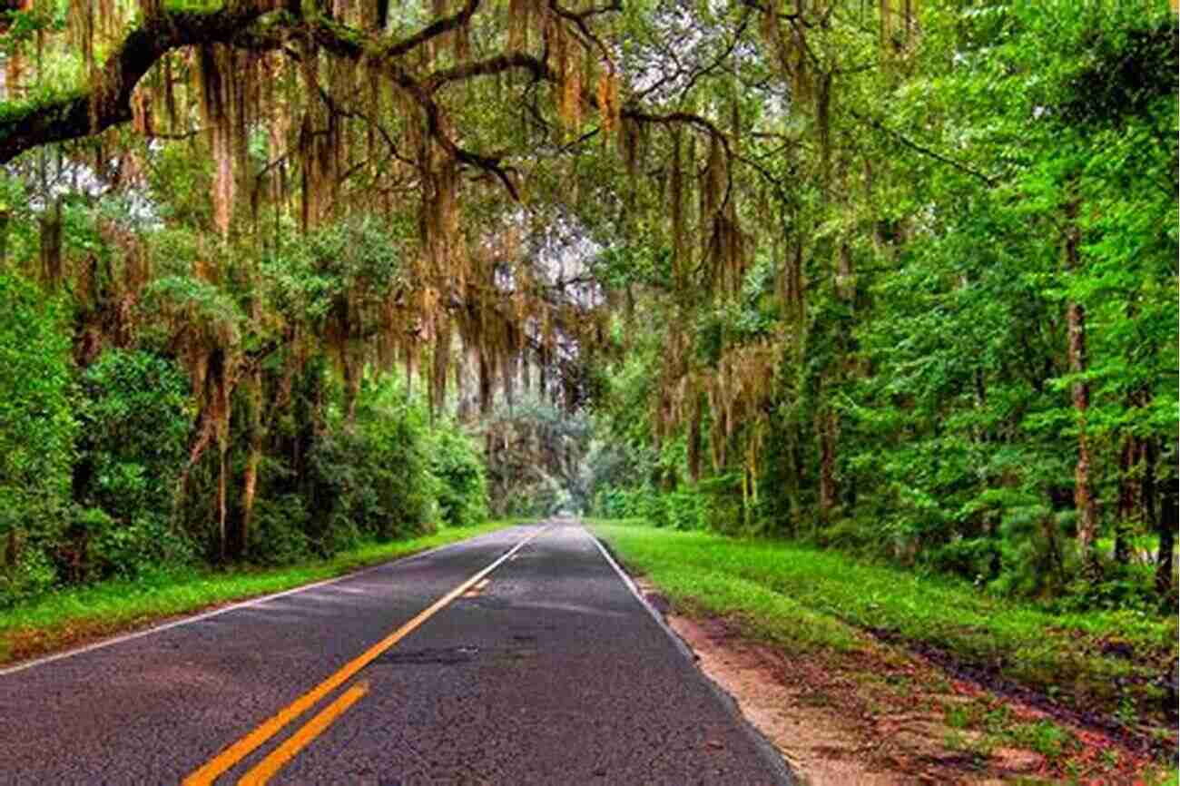 Exploring The Beautiful Florida Backroads Best Backroads Of Florida: Coasts Glades And Groves