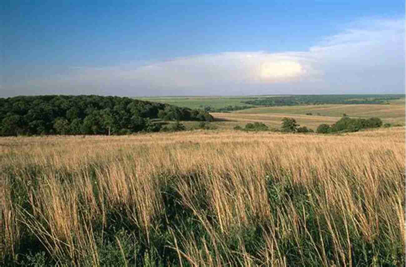 Exploring The Vast Oklahoma Prairies In The 21st Century A Tour On The Oklahoma Prairies In The 21st Century