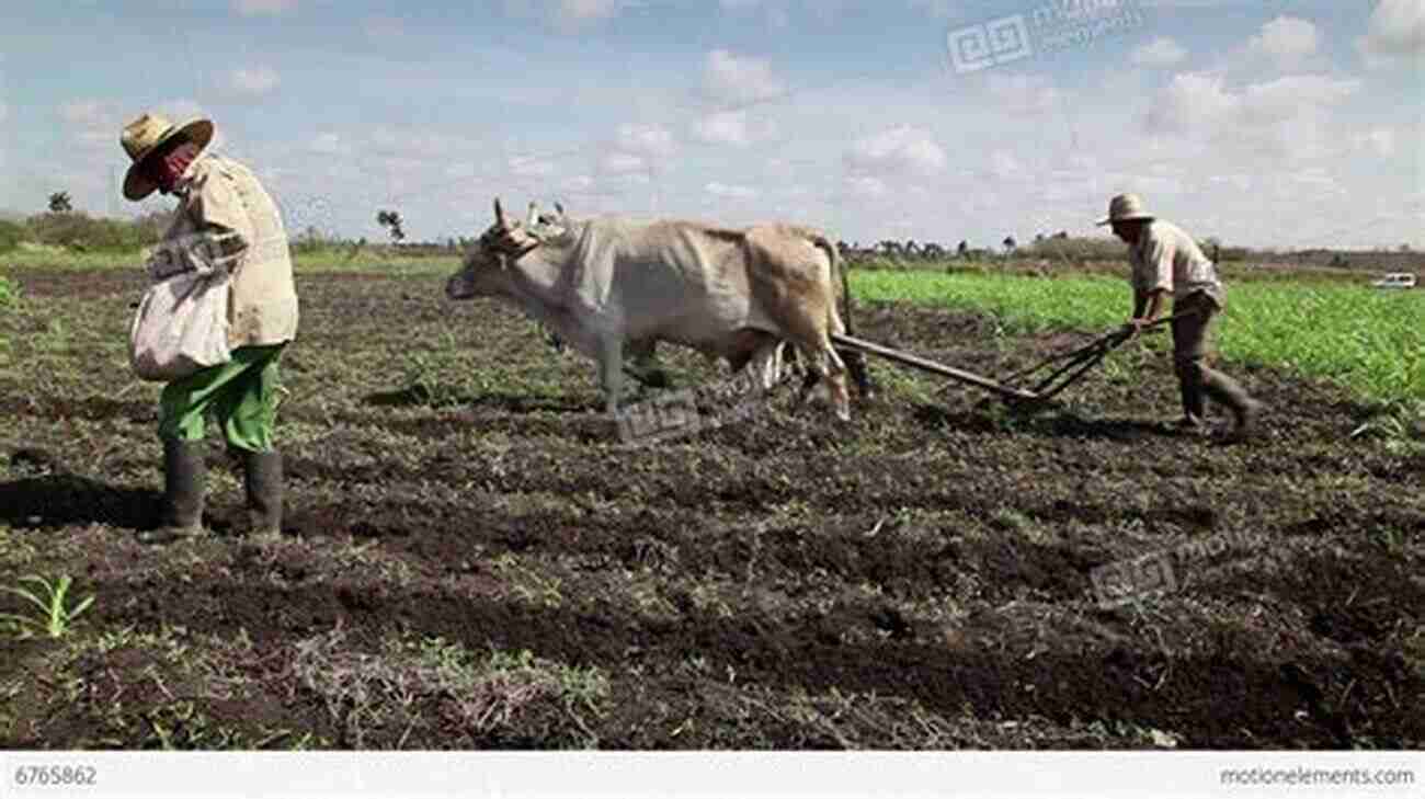 Farmer Working On A Field Achieving Sustainable Cultivation Of Temperate Zone Tree Fruits And Berries Volume 2: Case Studies (Burleigh Dodds In Agricultural Science 54)