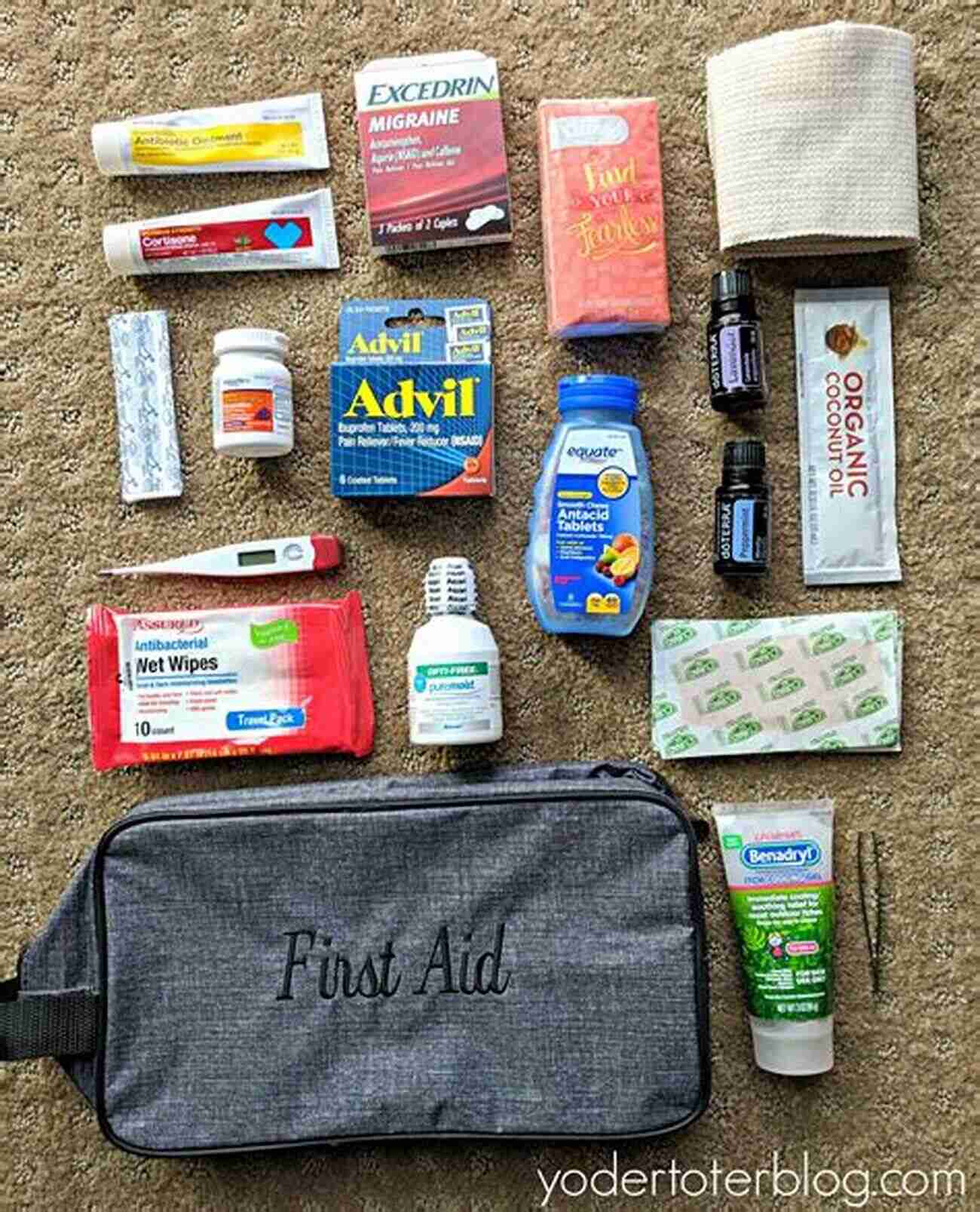 First Aid Kit With Travel Essentials The Snowbirds Guide: A Comprehensive Travel Guide With Check Lists And Suggestions To Prevent Common Travel Pit Falls From Concept To Destination A Complete Guide