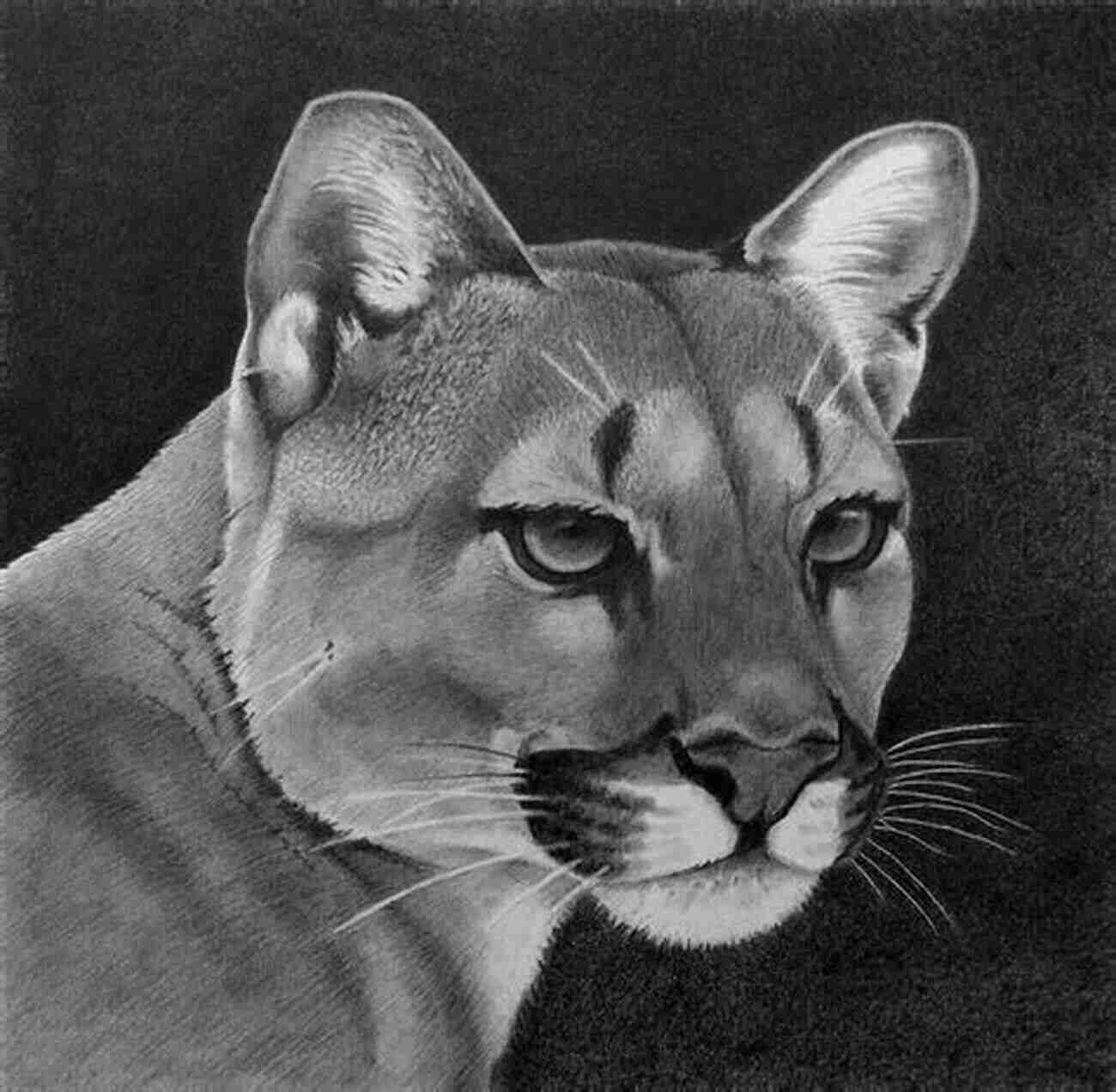 Graphite Drawing Of Various Animals Lifelike Animals: Discover Your ?inner Artist? As You Learn To Draw Animals In Graphite (Drawing Made Easy)