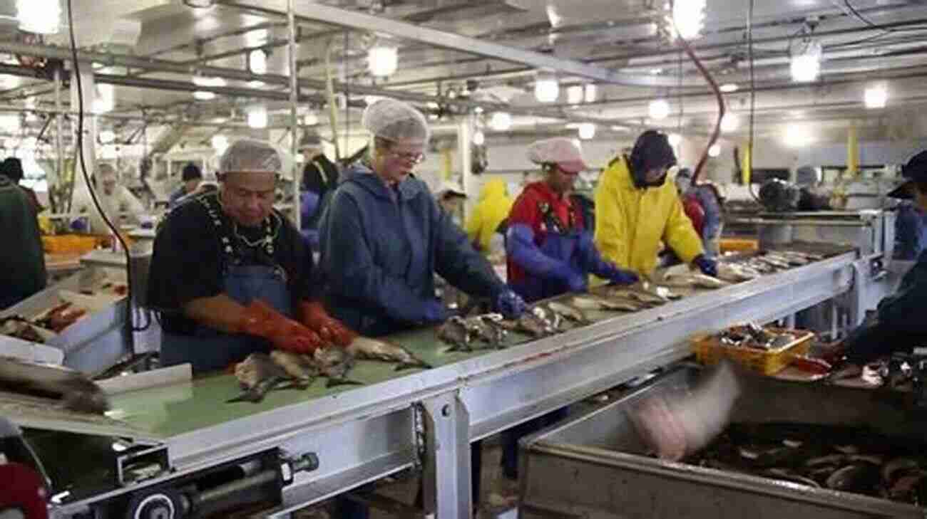 Group Of Workers In A Southeast Alaska Cannery Sorting Fish Ragged Coast Rugged Coves: Labor Culture And Politics In Southeast Alaska Canneries